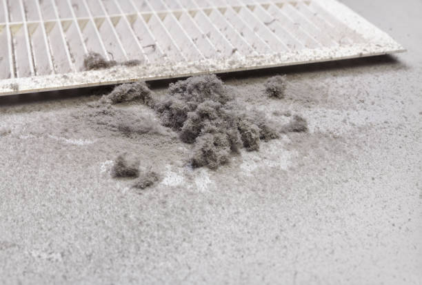 Best Commercial Air Duct Cleaning  in Andrews, NC