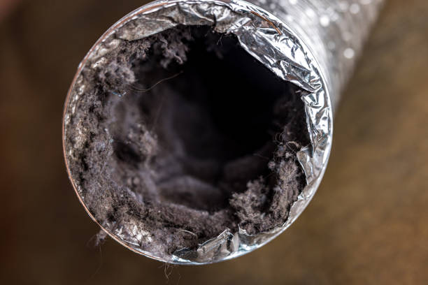 Best HVAC System Cleaning  in Andrews, NC