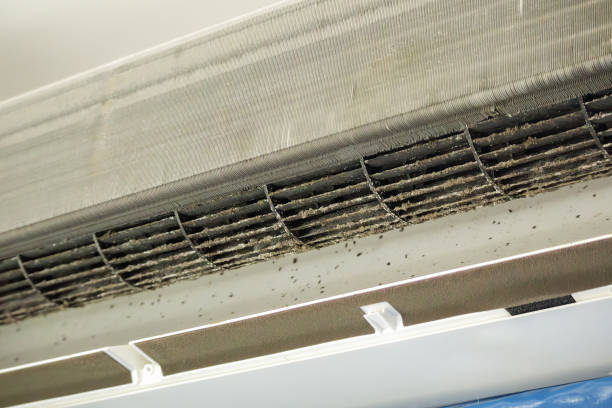 Best Air Duct Cleaning Near Me  in Andrews, NC